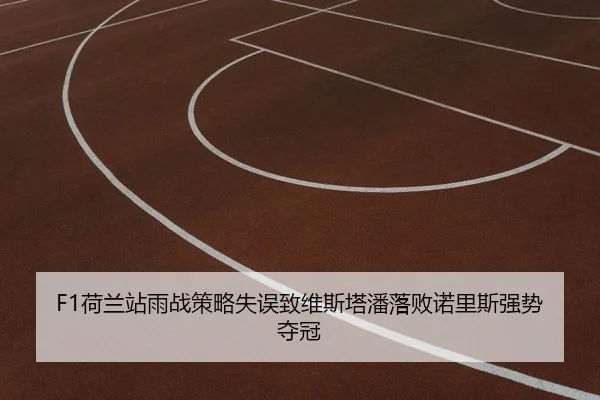 he-lan-zhan-yu-zhan-ce-lve-shi-wu-zhi-wei-si-ta-pan-luo-bai-nuo-li-si-qiang-shi-duo-guan-2-289.jpg